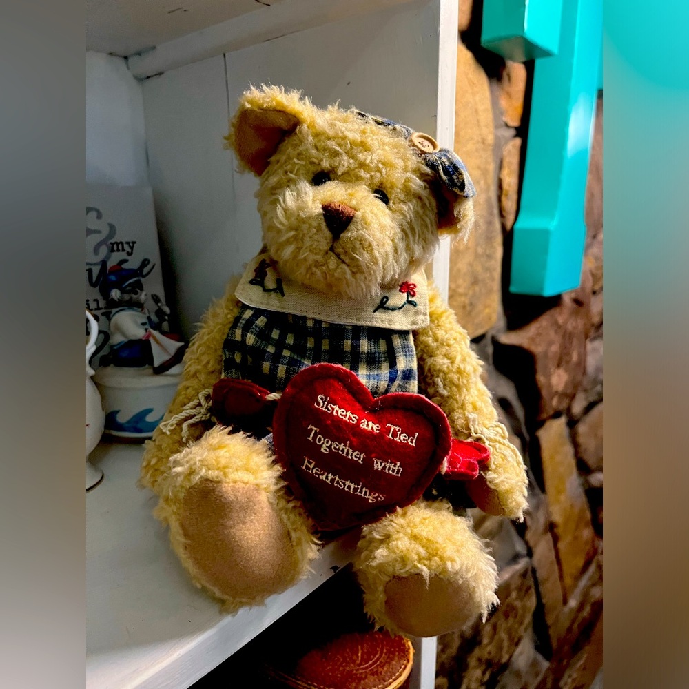 Sister teddy
